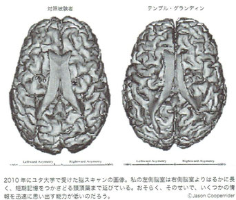 右がテンプル・グランディン先生の画像