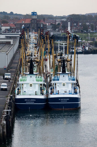Newcastle,Fähre,Schottland,Amsterdam,IJmuiden,Tipps,Hafen