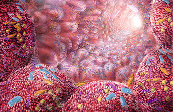 microbiote intestinal