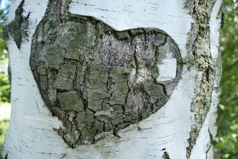 Coeur 8