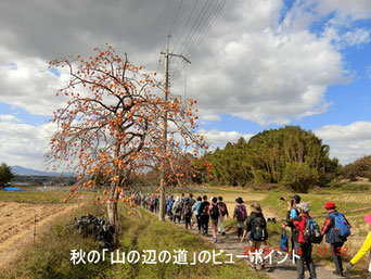 大和ウォーキング協会 大和ウォーキング協会