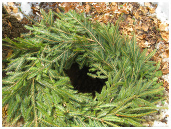 Vorbereitetes Grab für die Urnen-Beisetzung meines Bruders.