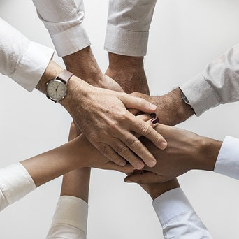 Das WIR besteht aus allen Teilen des Systems - und das ist 2018 im Venusjahr / Jahr des Erde-Hundes ganz wichtig. Mehr darüber im SOULGARDEN Blog