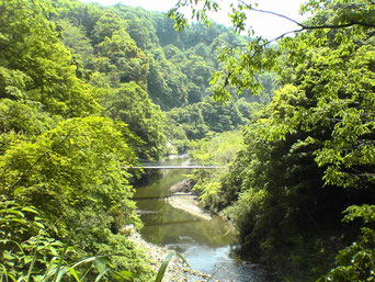 千葉でもこんなに山深く静かな場所があります