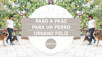 PInche en la imagen.