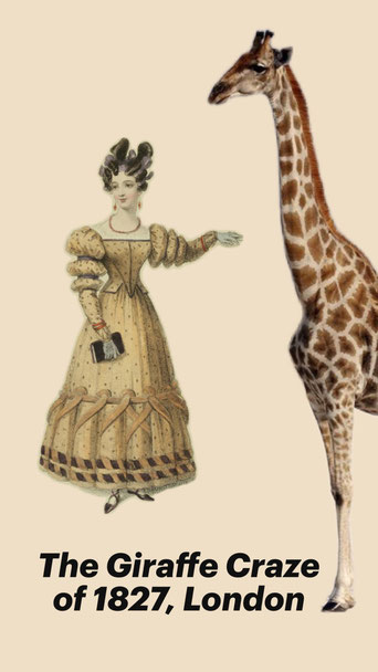 Blog Visual with Biedermeier dress and girafe on yellow background with blog title as text