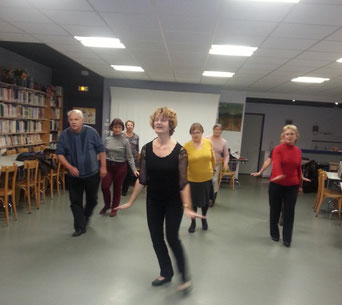 Danses de salon 2013