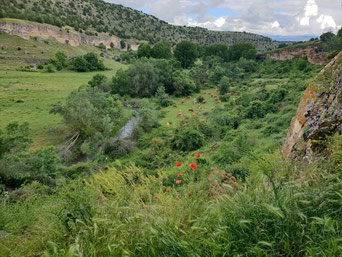 Fotografía de Geolodía Segovia 2024 Peñarrubias de Pirón (Extraída de www.geologiadesegovia.info) 