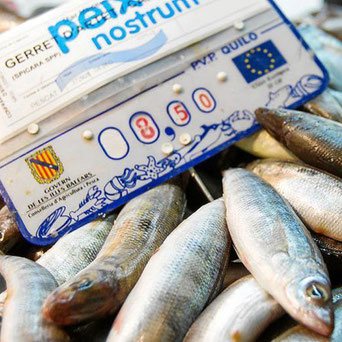 Der Gerret (im spanischen Karamell) ist ein Halbfett-Fisch