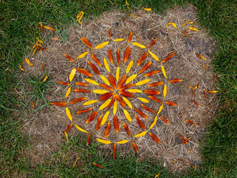 Landart. Es zeigt einen sonnenähnlichen Kranz aus orangenen und gelben Blüten auf getrocknetem Gras. Ringsum befindet sich grünes Gras.