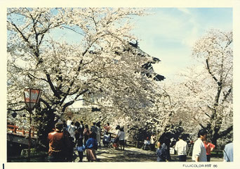 弘前城桜祭り(1986年5月2日撮影)