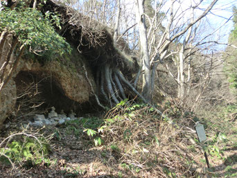 五輪塔窟跡・本院跡