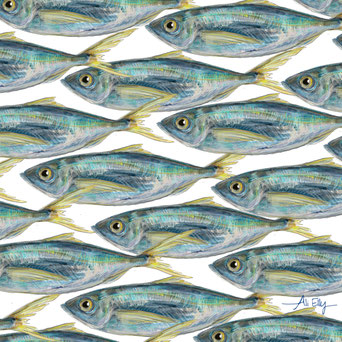  blue runner (Caranx crysos) fish pattern underwater design