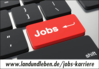 Stellenanzeigen Bremervörde BRV, Zeven, OHZ, Verden und ROW