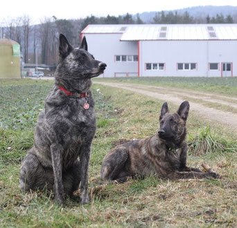 Mama Amanda und Sohnemann Jarun