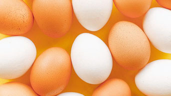 photo œufs blancs et jaunes
