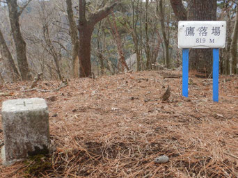 三等三角点・鷹落場