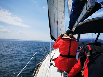 Skippertraining Bodensee