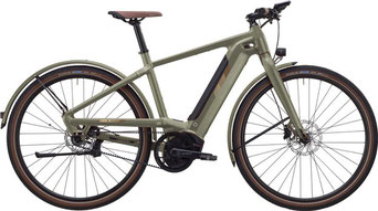 IBEX eFat Frank Neo 2020