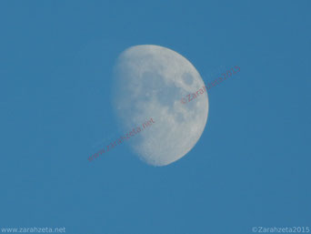 Mond am blauen Tageshimmel