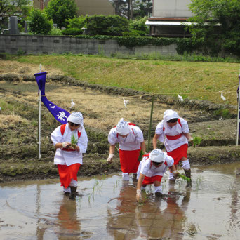 十社大神　早乙女によるお田植え