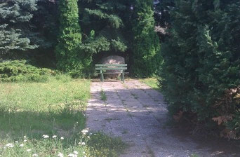 Graveyard and desperately crying Bench