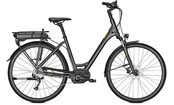 Raleigh Stoker Bosch Trekking e-Bike 2018