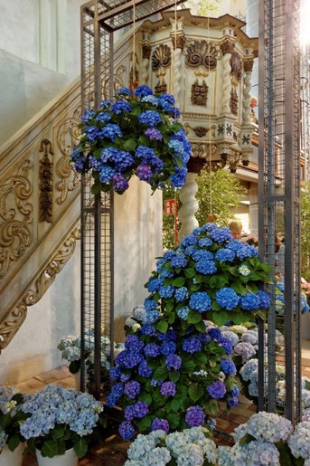 Eine Blumenschau in der Kirche in Havelberg