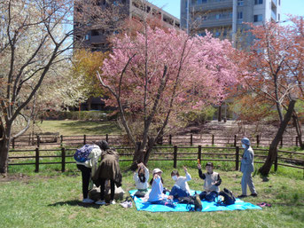 小川公園の桜の下で「ハイ、ピース！」