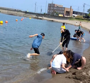 魚がたくさん泳いでいたよ！