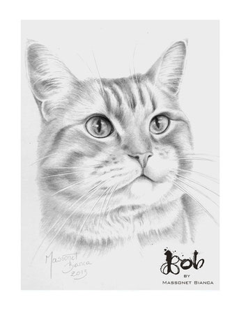 Streetcat Bob - pawtrait by Bianca Massonet