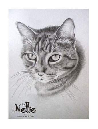 Nellie - pawtrait by Bianca Massonet