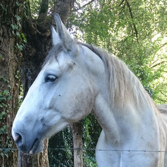Espoir