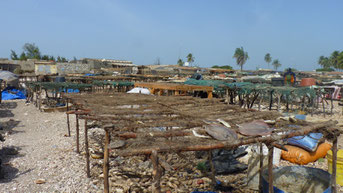 Village de ^pêcheurs, Djifer, Sénégal