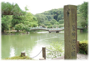 薬師池公園　弁当配達