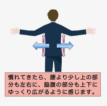 呼吸法の図②「背中は左右に、脇腹は上下にゆっくり広がるように感じる」