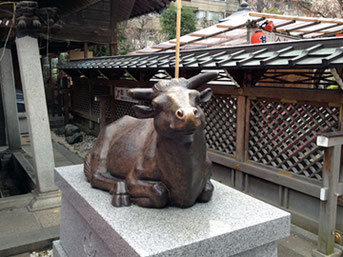 湯島天神（湯島天満宮） 牛