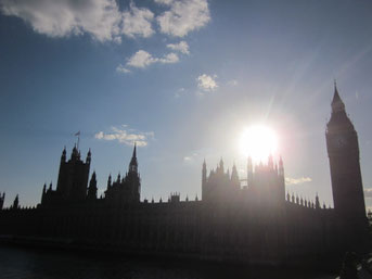 House of Parliament, Westminster palace