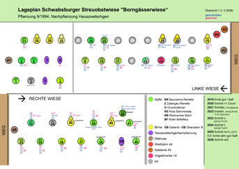 Bepflanzungs- und Schnitt/Ernte-Plan der Obstbäume