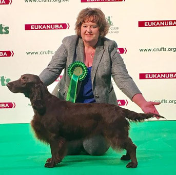 BOB Crufts 2018 "Reedmace Sweetbriar Floss For Elgert" aka Florence with her owner Gretel Osborn, Photo: Osborn