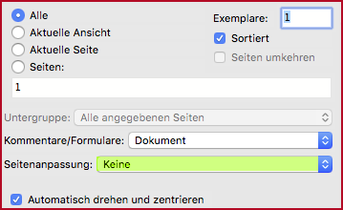 Ansicht Adobe Acrobat Reader «Seitenanpassung: keine»