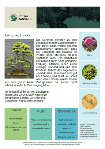 Sorten- und Pflege-Anleitungen - www.bonsai-hassler.de