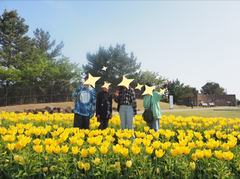 淡路島 国営明石海峡公園