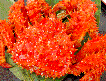 花咲蟹(northbussan )
