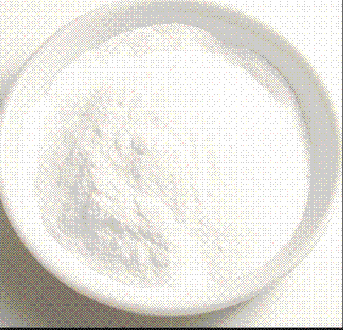 (粉砂糖)Tomizawa