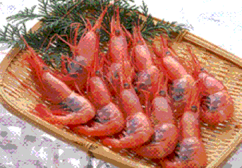 甘海老(Tadamura suisan)