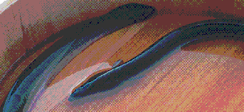 うなぎ(Kawaguchi suisan)