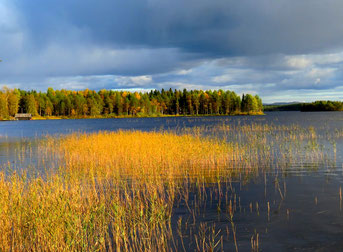 Laponie finlandaise