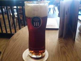 Hofbräu Dunkel