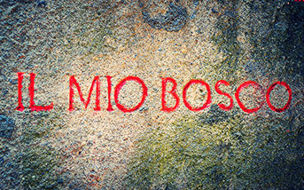 OmoGirando il Sacro Bosco